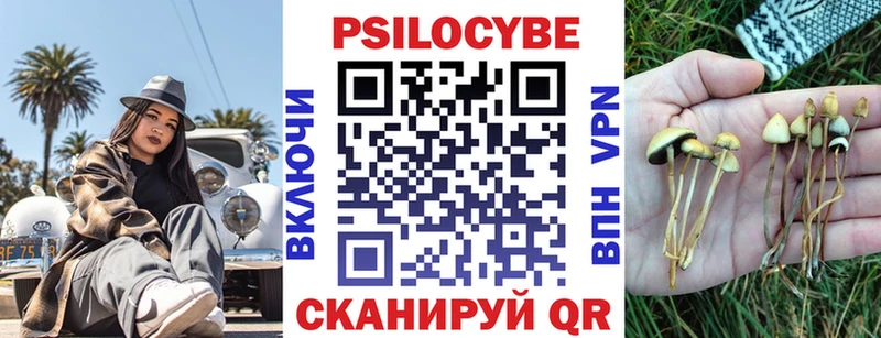 Купить закладки  Мглин  Галлюциногенные грибы Psilocybine cubensis 